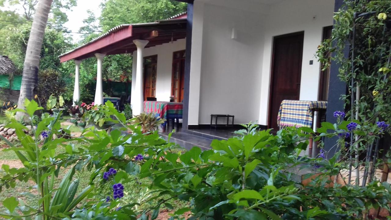 Sigiri Shen Residence Сигирия Екстериор снимка