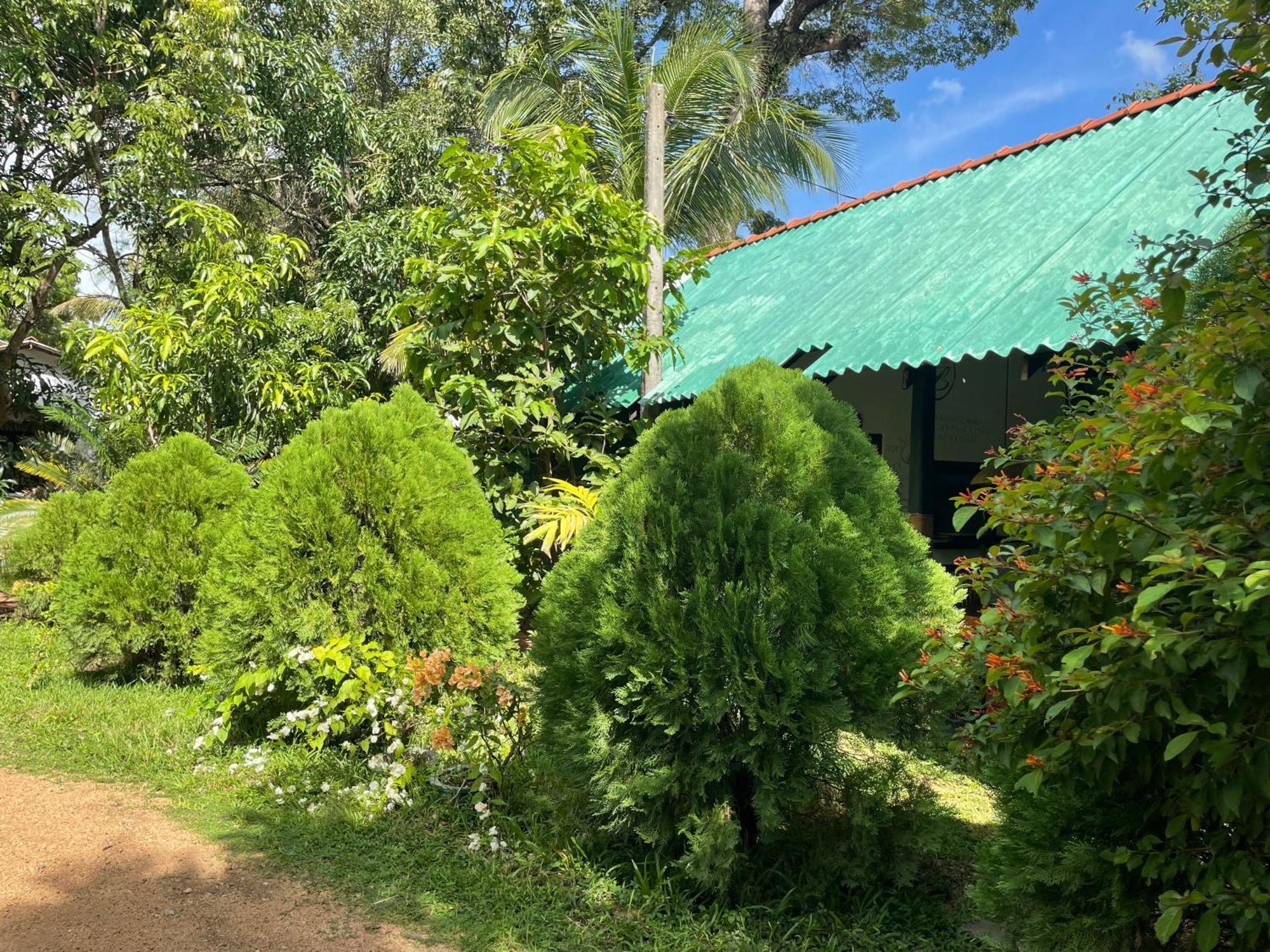 Sigiri Shen Residence Сигирия Екстериор снимка